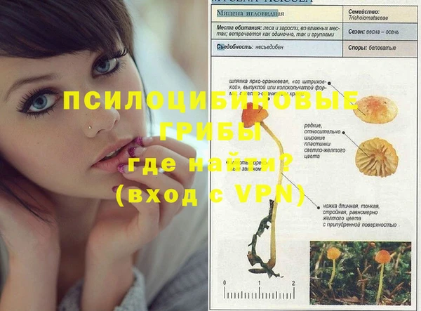каннабис Алексин