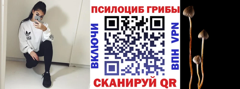 Псилоцибиновые грибы прущие грибы  площадка наркотические препараты  Собинка 